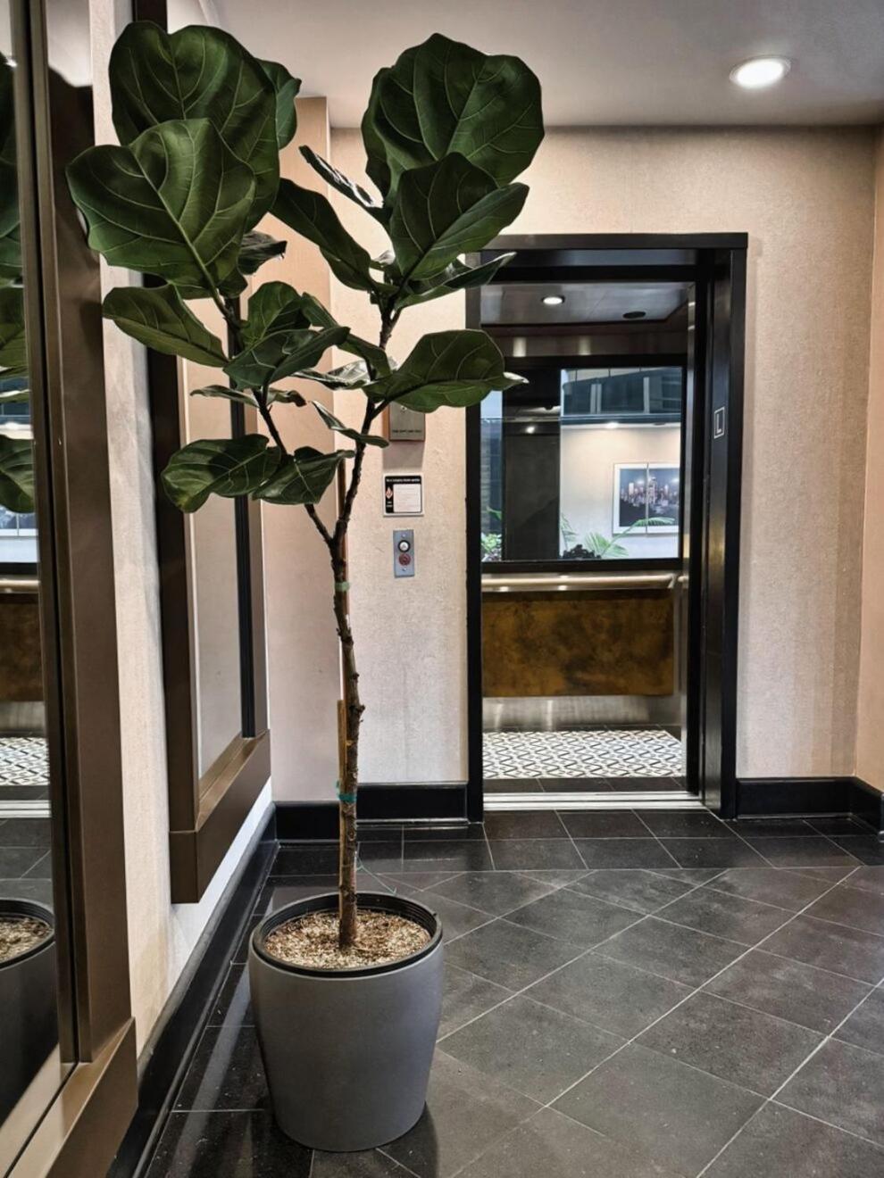 Hotel International Lynnwood Zewnętrze zdjęcie
